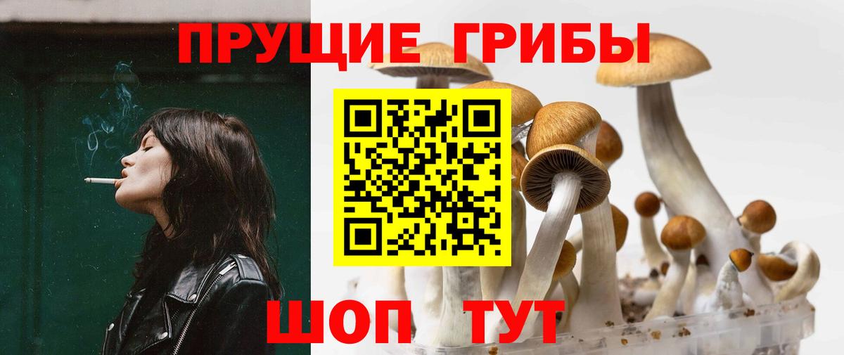наркотики  Вход с VPN  Тында  Псилоцибиновые грибы мицелий 
